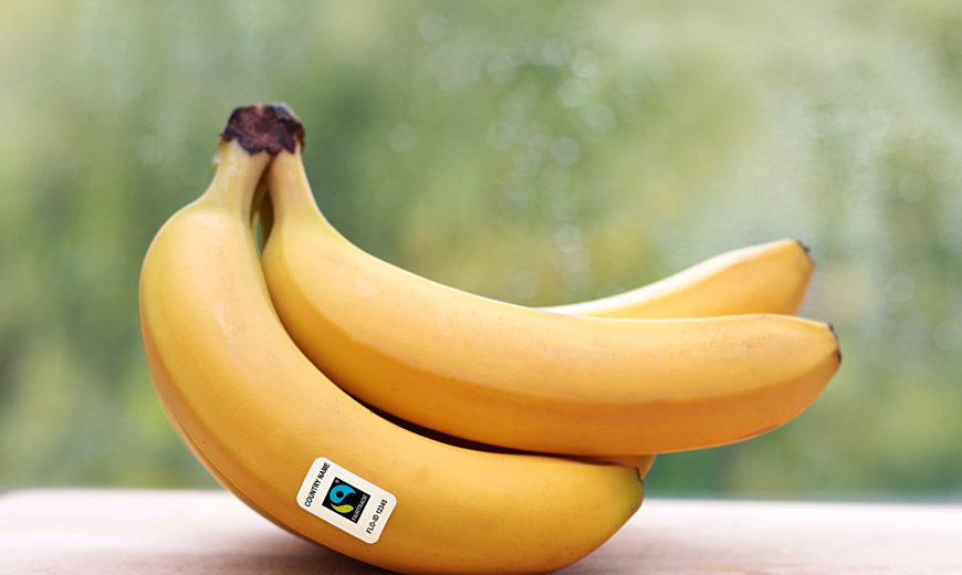2020 Banana Logo 870
