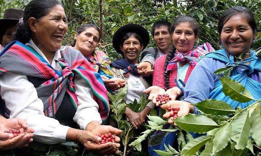 26861 Peru Coffee Farmers Group 870